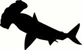 Water (6) vinyl decal